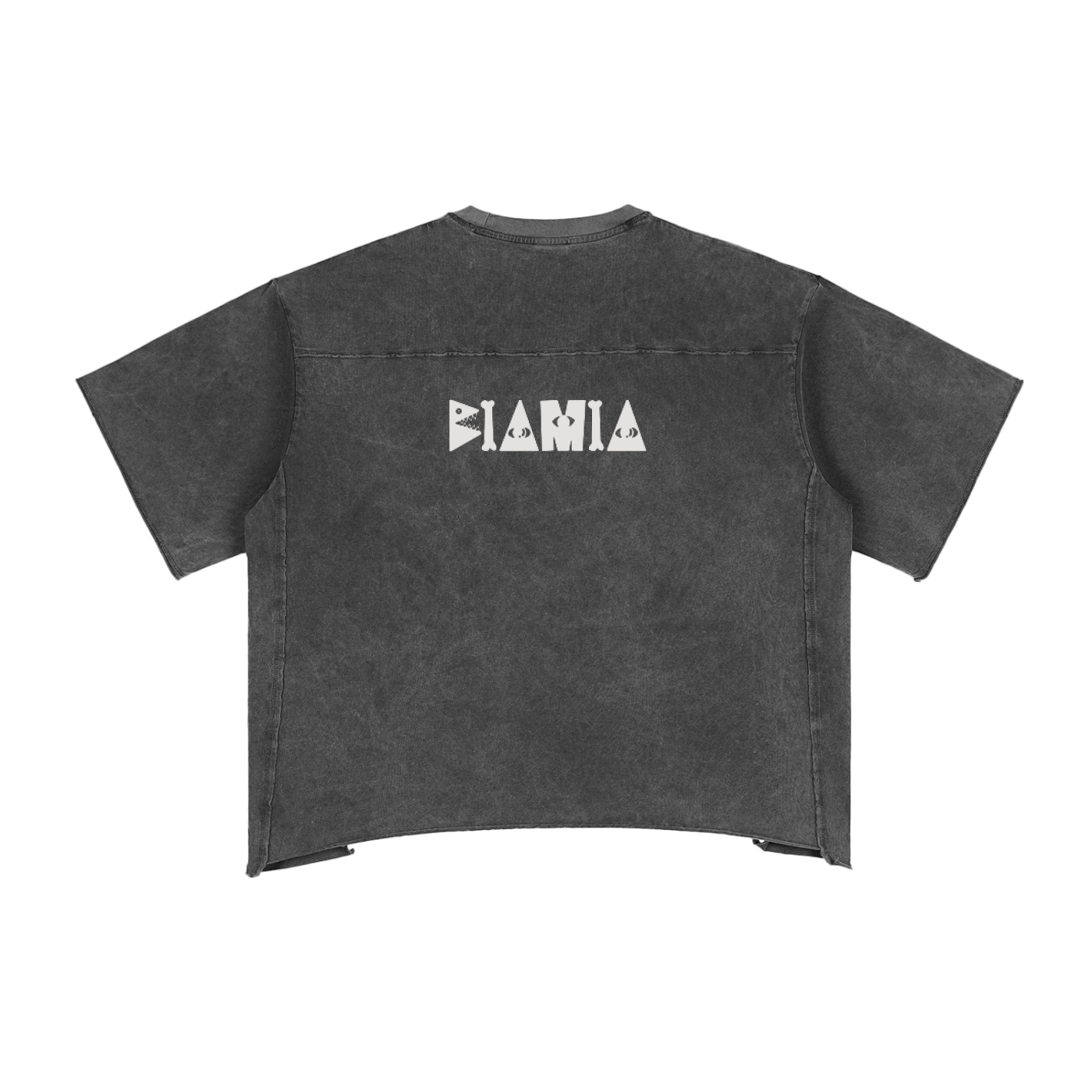 RAW EDGE BOXY TEE